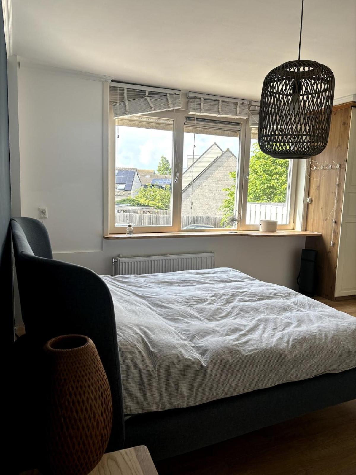 Experience Mills & Amsterdam Vibes Zaandam